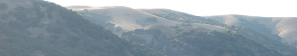 Martinez Hills