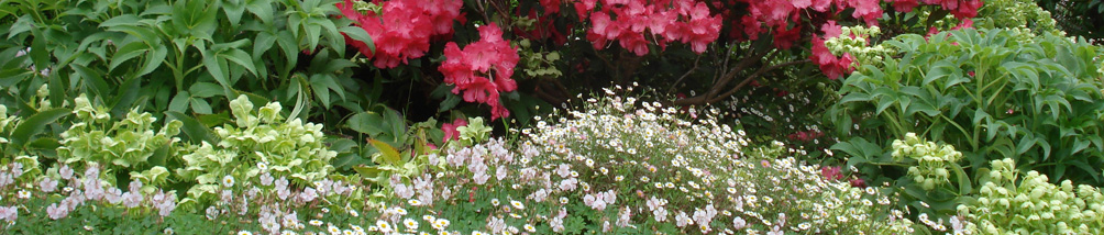 picture of landscaping around the courts buildings