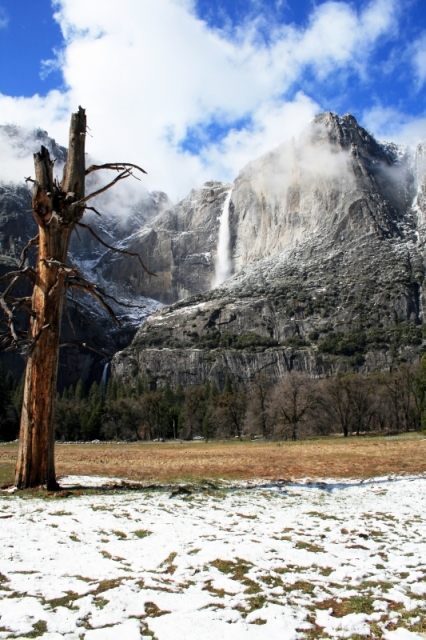 Photograph of Yosemite by Jennette Maintzer.